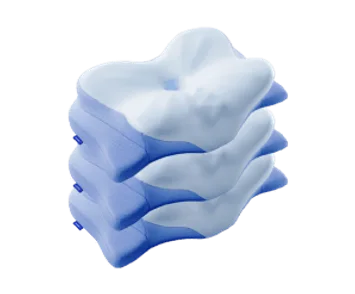 Derila Ergo bundel met drie kussens